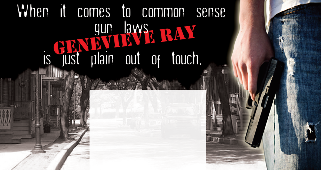 Kim Bracey Negative Ad Campaign mailer, 2010